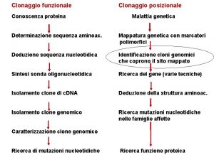 Clonaggio funzionale Conoscenza proteina Clonaggio posizionale Malattia genetica