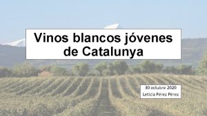 Vinos blancos jvenes de Catalunya 30 octubre 2020