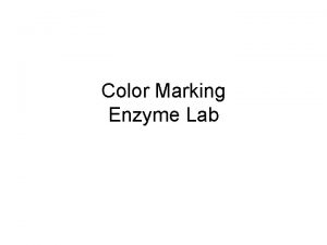 Color Marking Enzyme Lab Red Blue Green Yellow