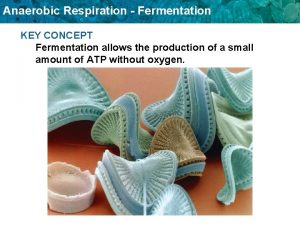 Anaerobic Respiration Fermentation KEY CONCEPT Fermentation allows the