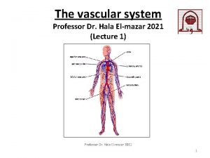 The vascular system Professor Dr Hala Elmazar 2021