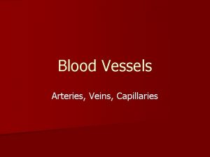 Blood Vessels Arteries Veins Capillaries Three Types of