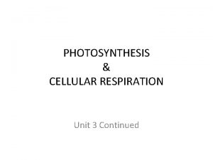 PHOTOSYNTHESIS CELLULAR RESPIRATION Unit 3 Continued POGIL Photosynthesis