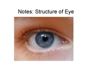 Notes Structure of Eye Cornea a thin transparent