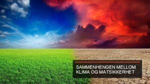 SAMMENHENGEN MELLOM KLIMA OG MATSIKKERHET Nr vi tenker