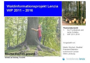 Waldinformationsprojekt Lenzia WIP 2011 2016 Themenbersicht 1 Der