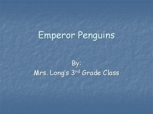 Emperor Penguins By Mrs Longs 3 rd Grade