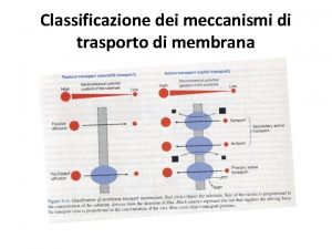 Classificazione dei meccanismi di trasporto di membrana Trasportatori