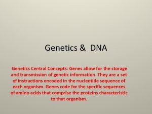 Genetics DNA Genetics Central Concepts Genes allow for