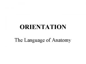 ORIENTATION The Language of Anatomy Anatomy study of
