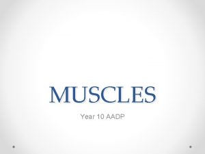 MUSCLES Year 10 AADP Muscles of the body