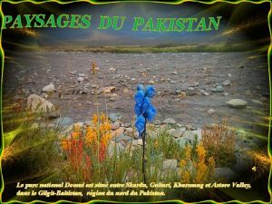 Le parc national Deosai est situ entre Skardu