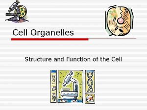 Cell Organelles Structure and Function of the Cell