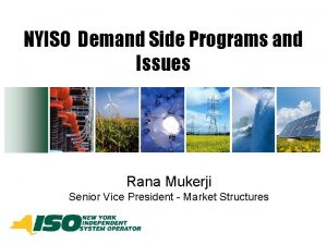 NYISO Demand Side Programs and Issues Rana Mukerji