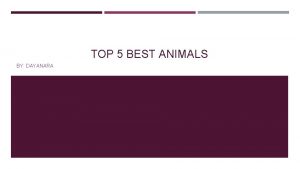 TOP 5 BEST ANIMALS BY DAYANARA ANIMALS Animals