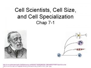 Cell Scientists Cell Size and Cell Specialization Chap