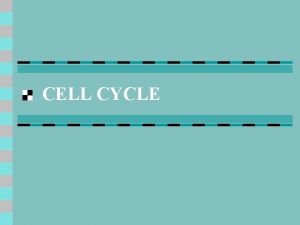 CELL CYCLE Cell Cycle 3 main parts Interphase