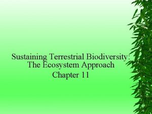 Sustaining Terrestrial Biodiversity The Ecosystem Approach Chapter 11