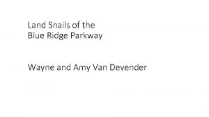 Land Snails of the Blue Ridge Parkway Wayne