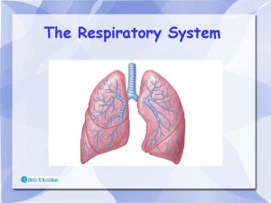 The Respiratory System The Respiratory System We breathe