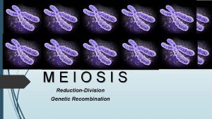 MEIOSIS ReductionDivision Genetic Recombination Meiosis The form of