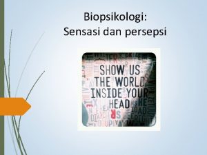 Biopsikologi Sensasi dan persepsi Sensasi dan persepsi Sensasi