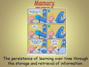 Memory super memorist 20 The persistence of learning