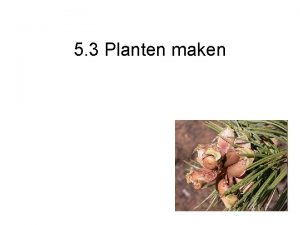 5 3 Planten maken Voortplantingsstelsel van een plant