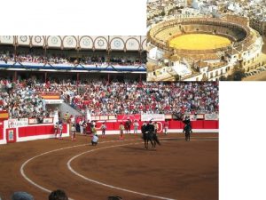 Los Toros Los Toros Los Toros Vocabulario 1