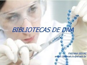 BIBLIOTECAS DE DNA FABIANA SEIXAS email fabianakufpel edu