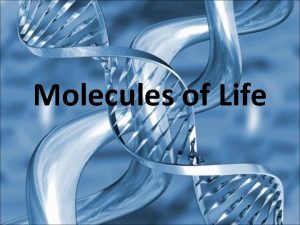 Molecules of Life Polymers Are Built of Monomers