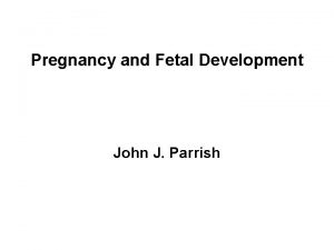 Pregnancy and Fetal Development John J Parrish Placental