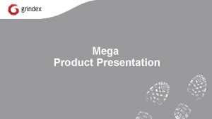 Mega Product Presentation Pioneering technology Mega made of