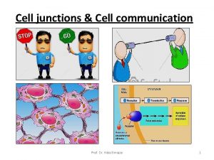 Cell junctions Cell communication Prof Dr Hala Elmazar