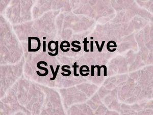 Digestive System Nutrients Substances in food that provide