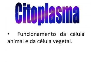 Funcionamento da clula animal e da clula vegetal