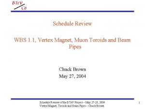 Schedule Review WBS 1 1 Vertex Magnet Muon