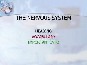 THE NERVOUS SYSTEM HEADING VOCABULARY IMPORTANT INFO Major