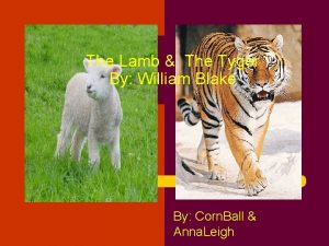 The Lamb The Tyger By William Blake By