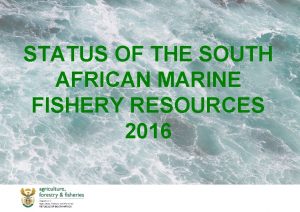 STATUS OF THE SOUTH AFRICAN MARINE FISHERY RESOURCES