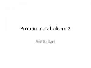 Protein metabolism 2 Anil Gattani Oxidative Deamination Oxidative