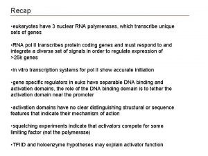 Recap eukaryotes have 3 nuclear RNA polymerases which