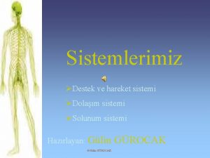 Sistemlerimiz Destek ve hareket sistemi Dolam sistemi Solunum