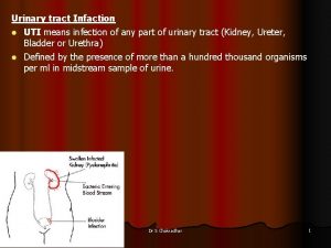 Urinary tract Infaction l UTI means infection of