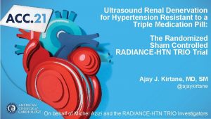 Ultrasound Renal Denervation for Hypertension Resistant to a
