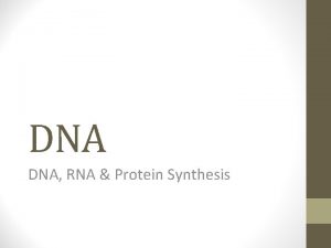 DNA DNA RNA Protein Synthesis The Structure of