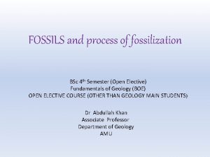 FOSSILS and process of fossilization BSc 4 th