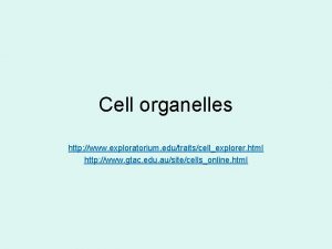 Cell organelles http www exploratorium edutraitscellexplorer html http