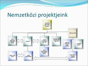 Nemzetkzi projektjeink Nemzetkzi kapcsolatok A 2011 2012 es