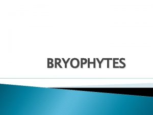 BRYOPHYTES The LIVER WORTS plant body is thalloid